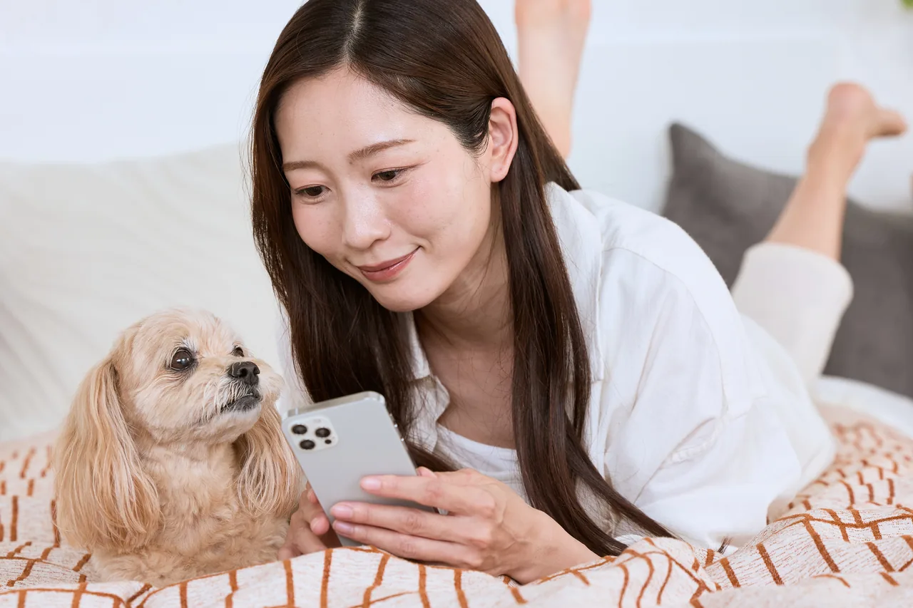 スマホで動物病院を探す飼い主